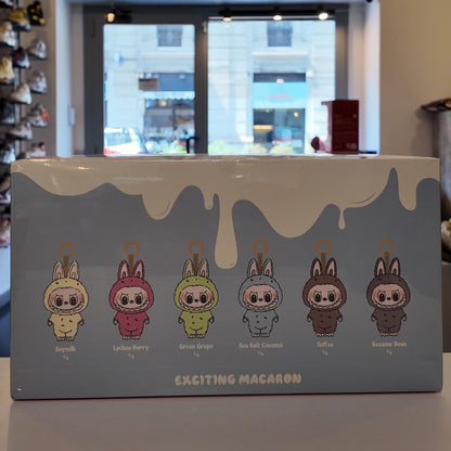Labubu The Monsters Tasty Macarons Vinyl Face Blind Box Whole Set (6 Blind Boxes)